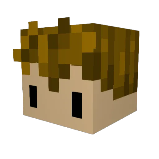 Caden69 Minecraft avatar head, 3D render
