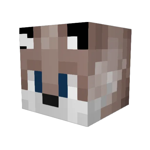 CadetCoyotee Minecraft avatar head, 3D render