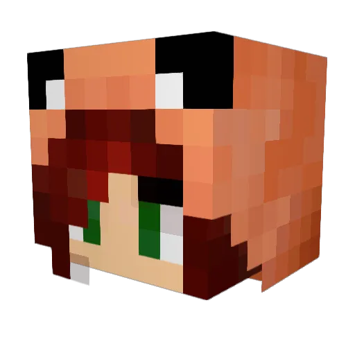CadnoBach Minecraft avatar head, 3D render