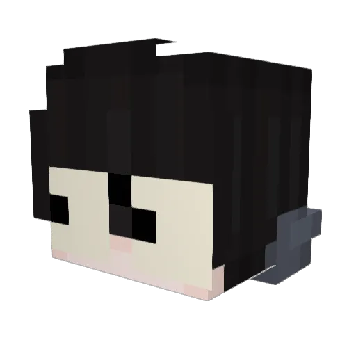 Cae0_0_ Minecraft avatar head, 3D render