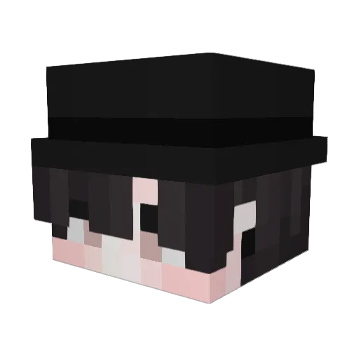 CaeR1 Minecraft avatar head, 3D render