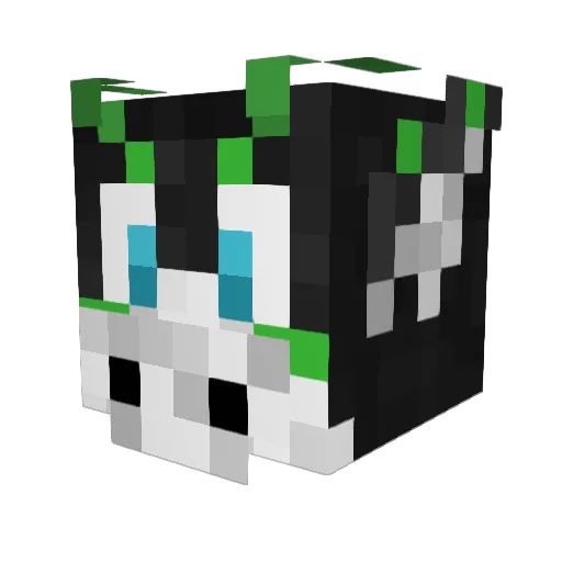CaelThunderwing Minecraft avatar head, 3D render