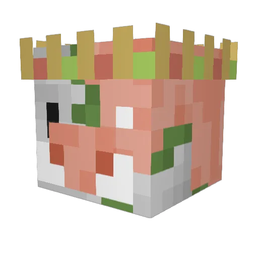 Caelan1963 Minecraft avatar head, 3D render