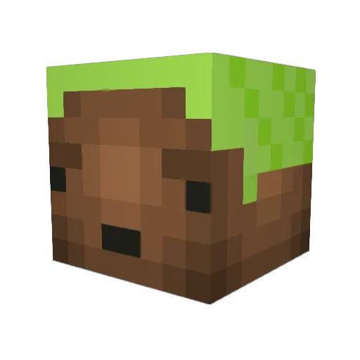 CaelanCS Minecraft avatar head, 3D render