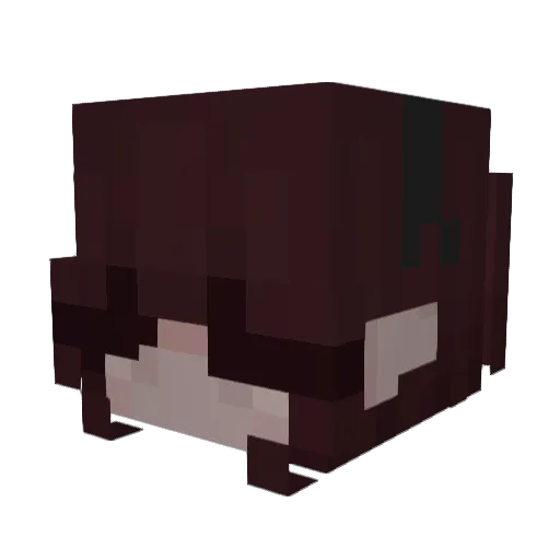 Caelfind Minecraft avatar head, 3D render