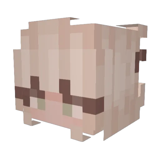 Caeliel Minecraft avatar head, 3D render