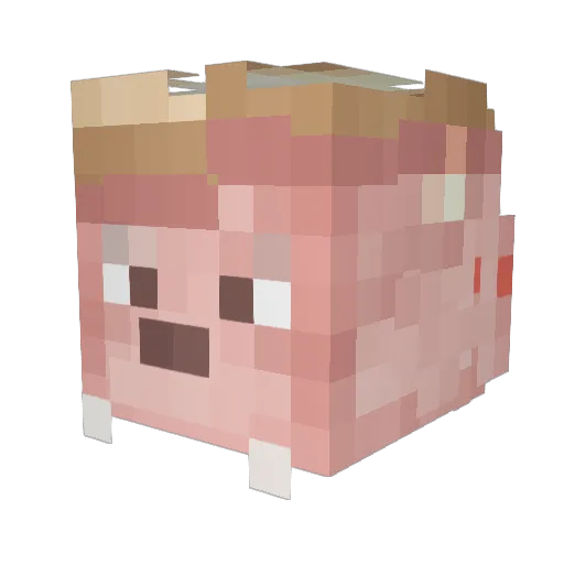 Caelslaw Minecraft avatar head, 3D render