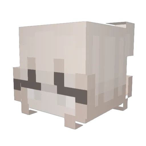Caelumist Minecraft avatar head, 3D render