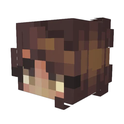 Caeluzz Minecraft avatar head, 3D render