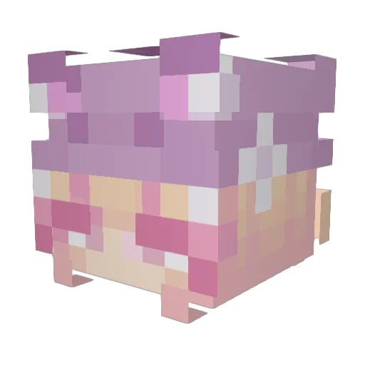 Caelyce Minecraft avatar head, 3D render