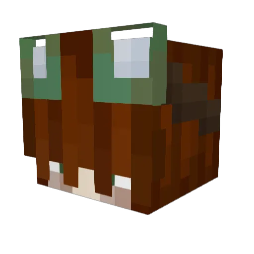 Caeneus_ Minecraft avatar head, 3D render