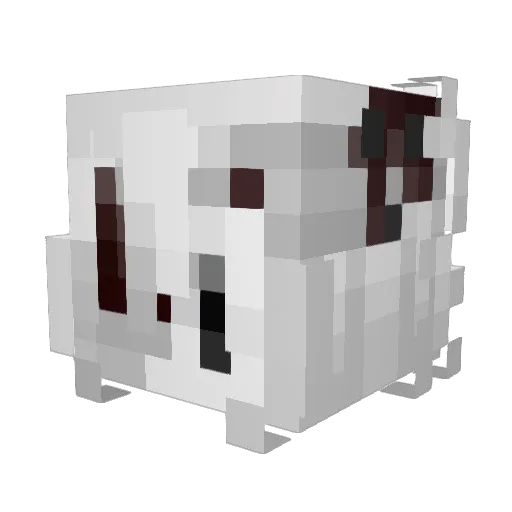 Caepallpow04 Minecraft avatar head, 3D render