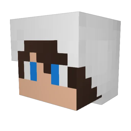 CaerbannogThe2nd Minecraft avatar head, 3D render