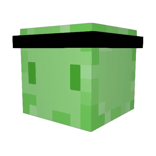 Caetano_0 Minecraft avatar head, 3D render