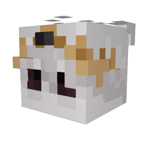 Cafaka Minecraft avatar head, 3D render