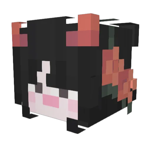Cafebonito Minecraft avatar head, 3D render