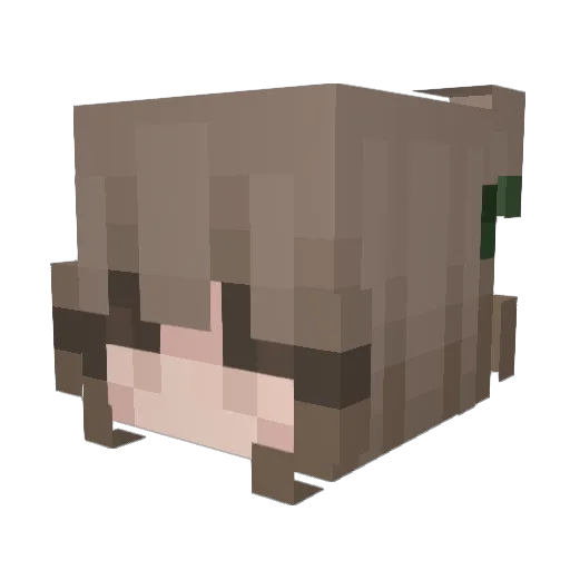 Cafeee Minecraft avatar head, 3D render