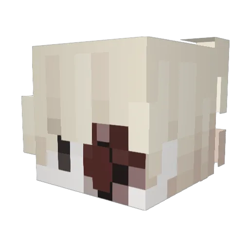 Cafeina Minecraft avatar head, 3D render