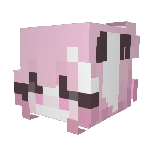 CaffeyLeshii Minecraft avatar head, 3D render
