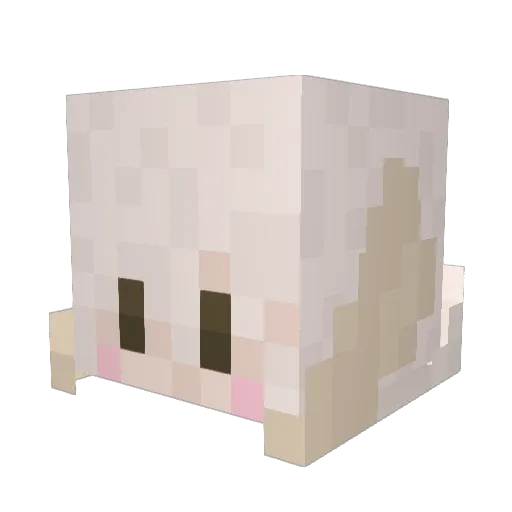 Cafoteria Minecraft avatar head, 3D render