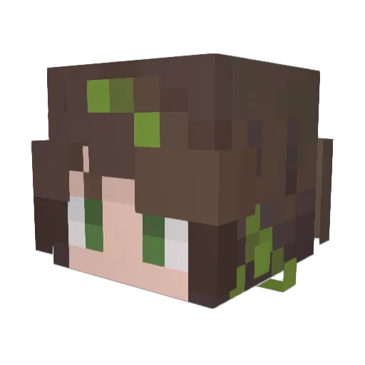 Cafoumlage_Kid Minecraft avatar head, 3D render