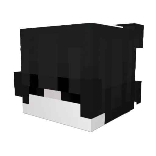 CageMC Minecraft avatar head, 3D render