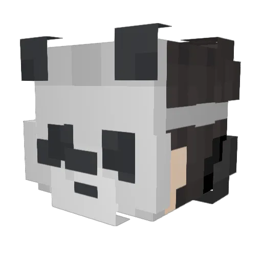 CagedFish Minecraft avatar head, 3D render