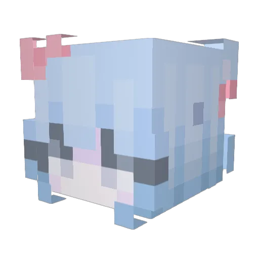 Cahill_Ray Minecraft avatar head, 3D render