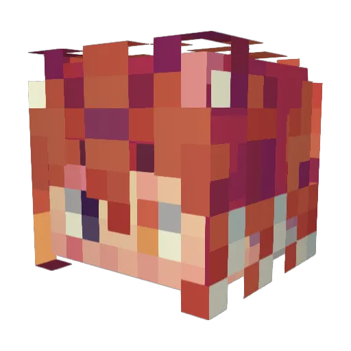 CahirIs Minecraft avatar head, 3D render