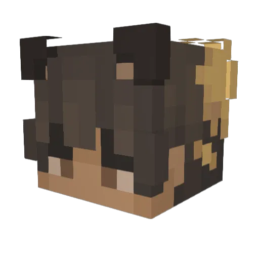 Cahlo_Bear Minecraft avatar head, 3D render
