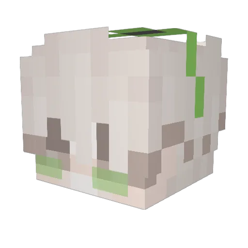 Cai_Zi_ Minecraft avatar head, 3D render