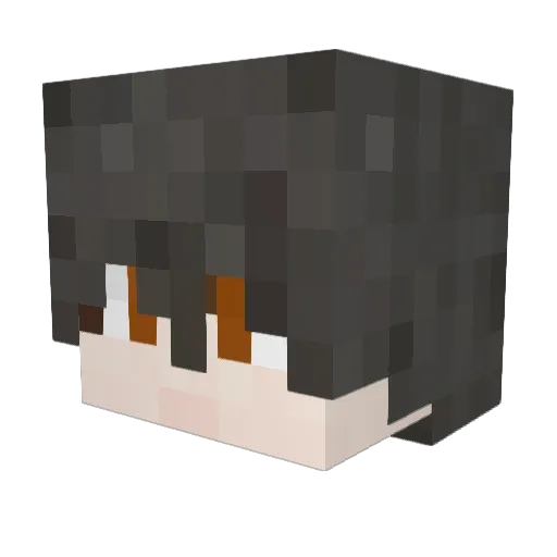 CaicaiN Minecraft avatar head, 3D render