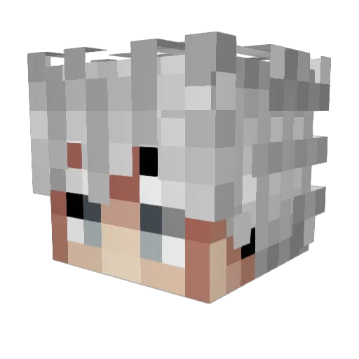 CaicedoAether Minecraft avatar head, 3D render