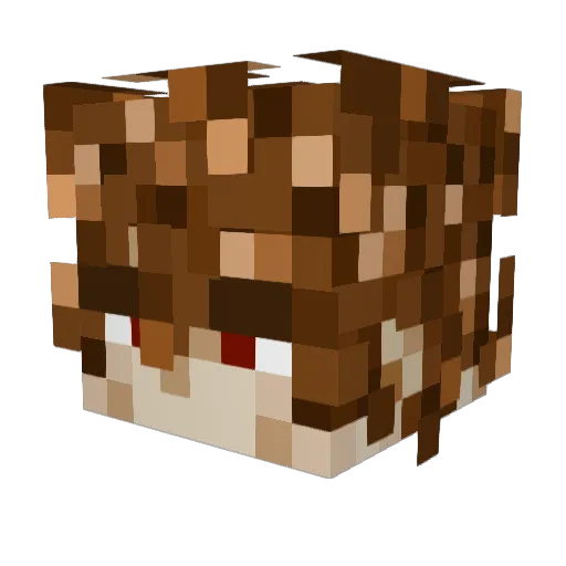 CaidenIsCool Minecraft avatar head, 3D render