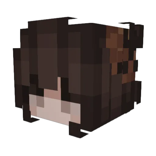 Cailyn1 Minecraft avatar head, 3D render