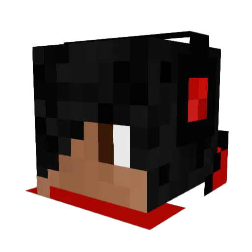 Cain1407 Minecraft avatar head, 3D render