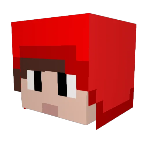 Caio29 Minecraft avatar head, 3D render