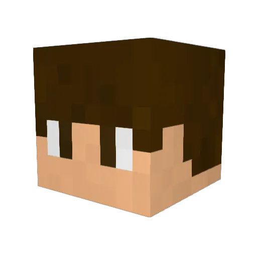 CaioChammas Minecraft avatar head, 3D render