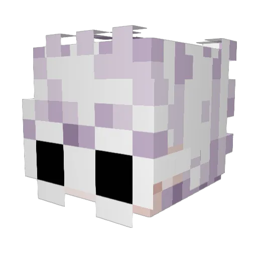 CaioKaralho Minecraft avatar head, 3D render