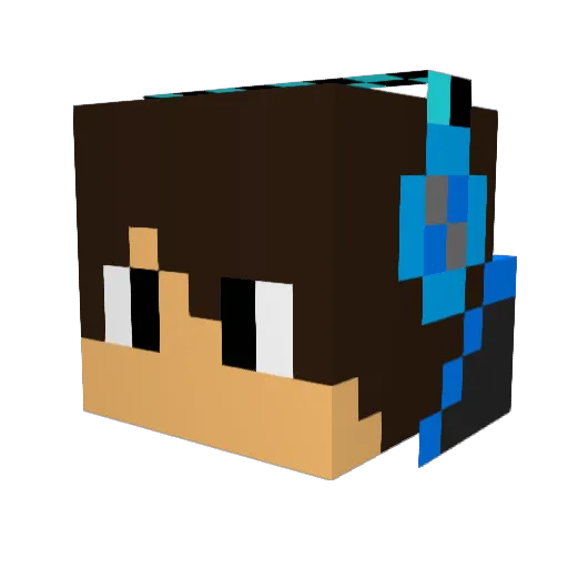 Caio_2014 Minecraft avatar head, 3D render
