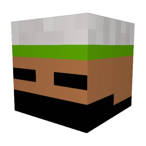 Caiozins Minecraft avatar head, 3D render