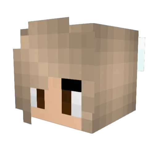 Cait123 Minecraft avatar head, 3D render