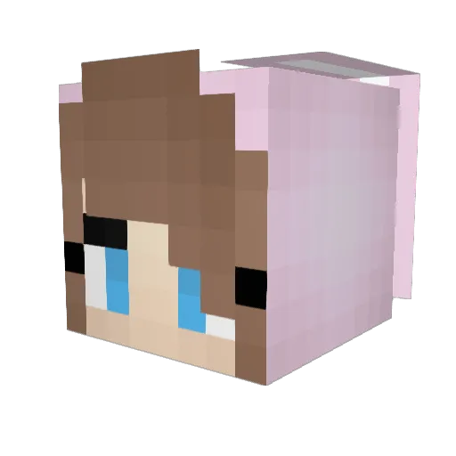 Cait13xx Minecraft avatar head, 3D render
