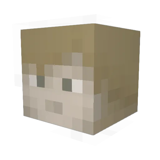 Cait19 Minecraft avatar head, 3D render