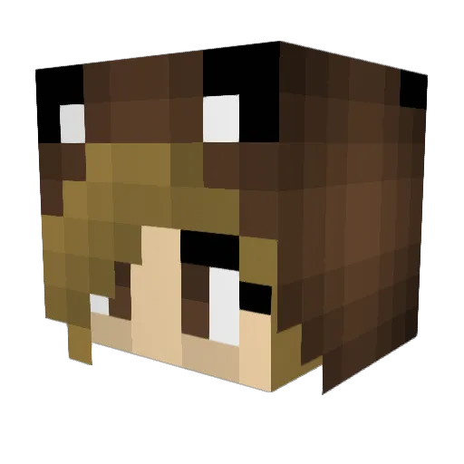 CaitiBug697 Minecraft avatar head, 3D render