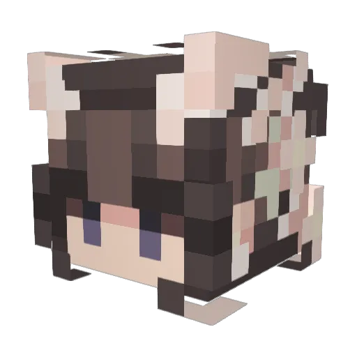 Caitlin1089 Minecraft avatar head, 3D render