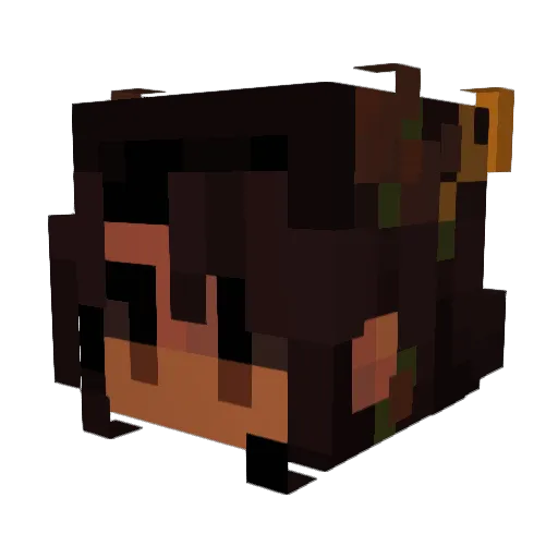 CaitlinAT Minecraft avatar head, 3D render