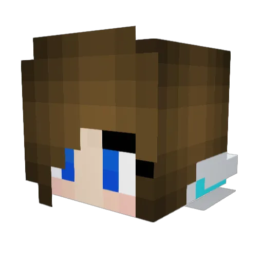 CaitlinCat200 Minecraft avatar head, 3D render