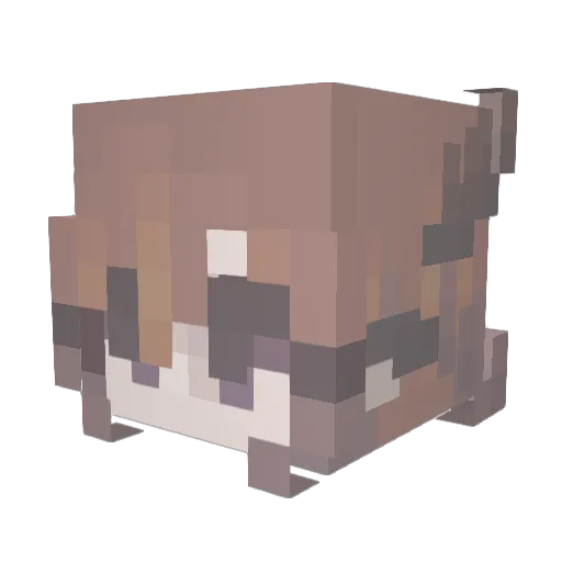 CaitlinPlayz Minecraft avatar head, 3D render