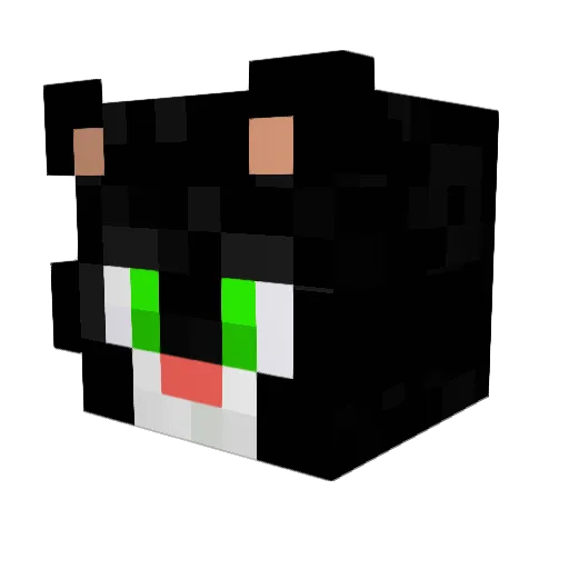 Caitlinxx22 Minecraft avatar head, 3D render